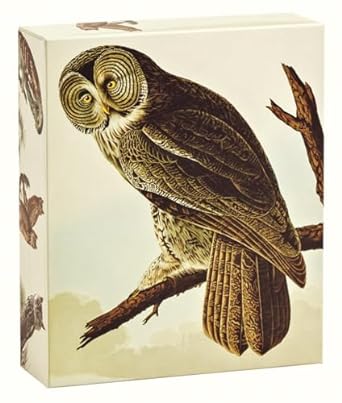 Audubon Owls Boxed Notecards